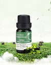 Oil Lavender Rose Tea Tree