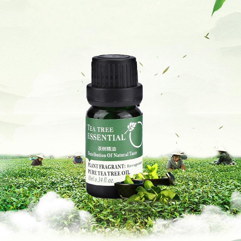 Oil Lavender Rose Tea Tree