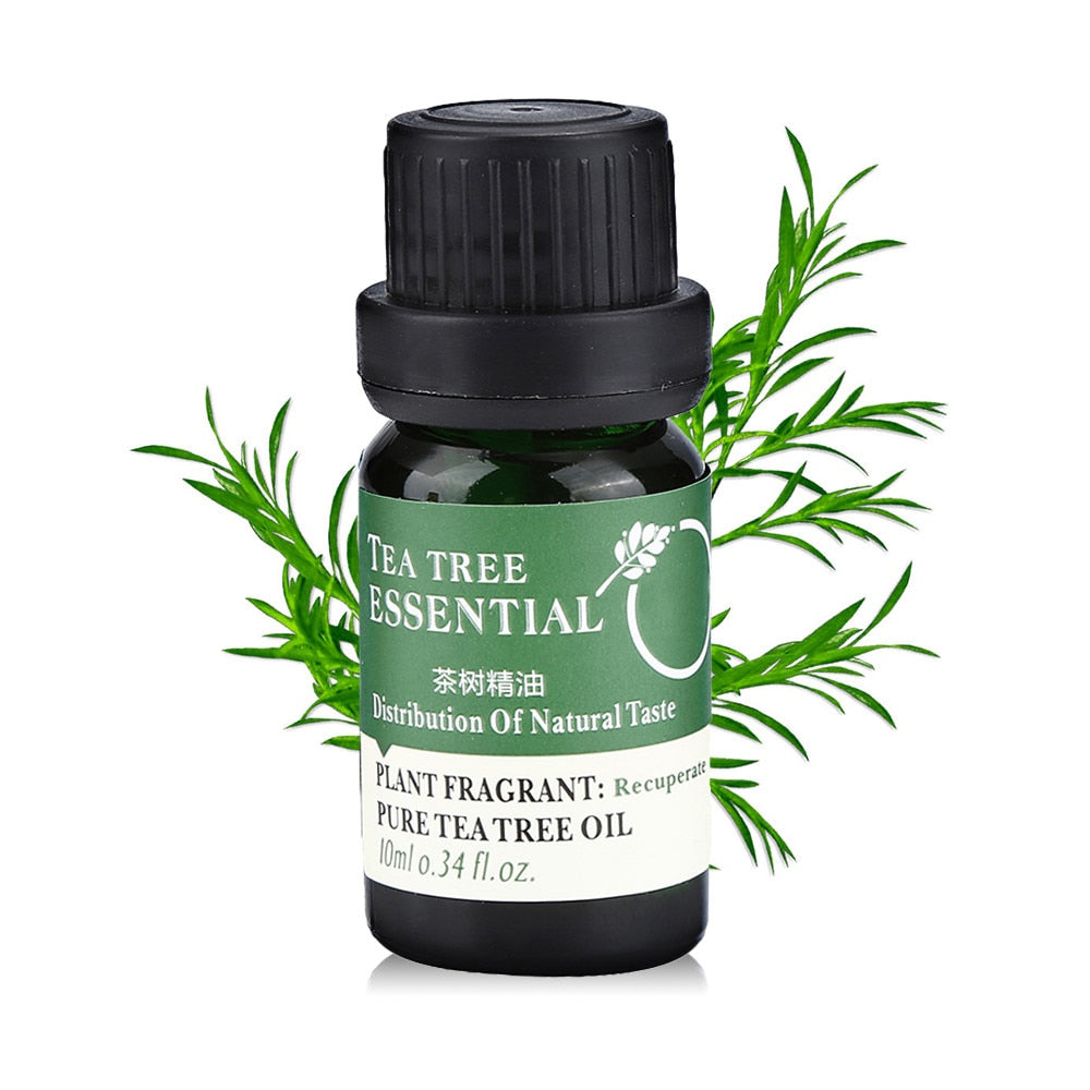 Oil Lavender Rose Tea Tree