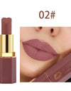 Cosmetics makeup matte lipstick