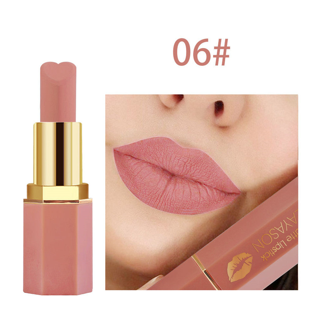 Cosmetics makeup matte lipstick