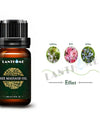 Lanthome 100% Natural SPA Massage Essential Oil