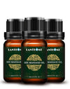 Lanthome 100% Natural SPA Massage Essential Oil