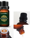 Lanthome 100% Natural SPA Massage Essential Oil