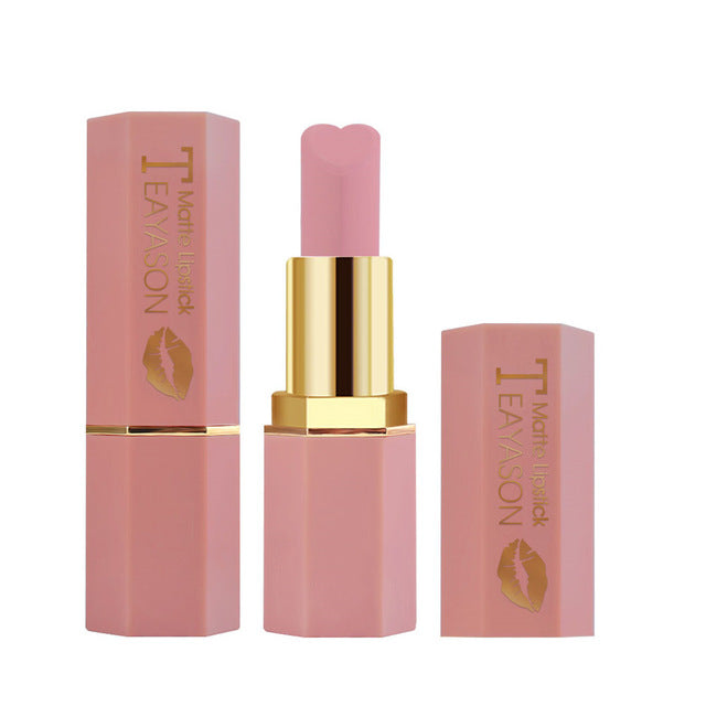 Cosmetics makeup matte lipstick